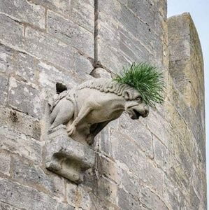 Meet your Posher, Jeanette